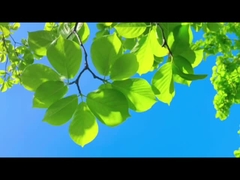 父のように、ファーリーは信頼性をもって守ります—家族と地球のために、清浄な空気を。